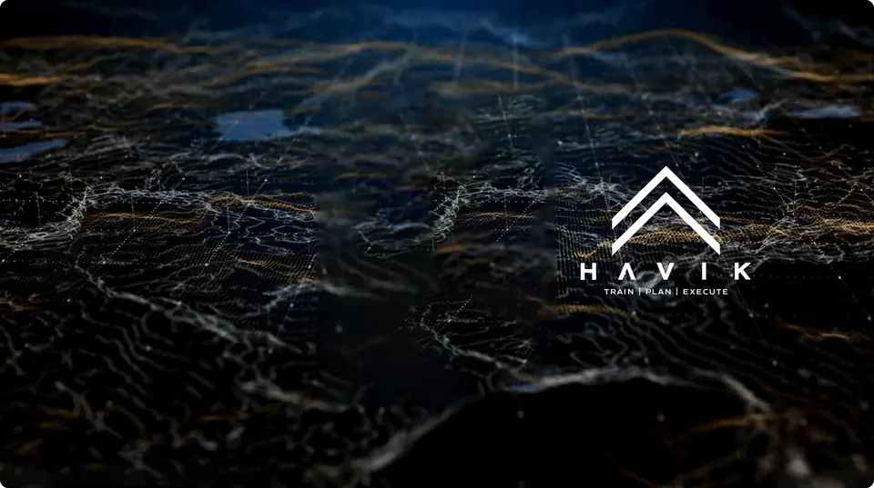 Havik simulation interface